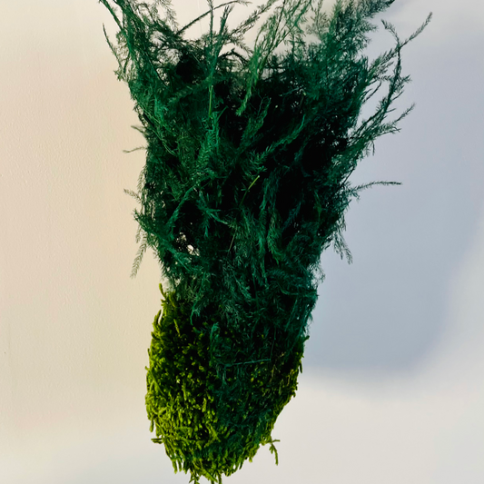 Kokedama végétal